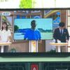 daihatsu move-canbus 2024 CFJ1772038 image 13