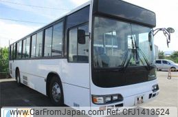 hino blue-ribbon 2004 CFJ1413524