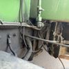 mitsubishi-fuso canter 1996 CFJ1512002 image 13