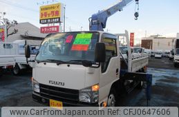 isuzu elf-truck 2013 GOO_NET_EXCHANGE_0500956A30250114W001