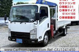 isuzu elf-truck 2010 GOO_NET_EXCHANGE_0506918A30250604W001