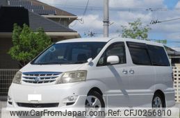 toyota alphard 2007 quick_quick_DBA-ANH10W_ANH10-0191859