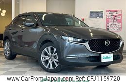 mazda cx-3 2019 -MAZDA--CX-30 3DA-DM8P--DM8P-101463---MAZDA--CX-30 3DA-DM8P--DM8P-101463-