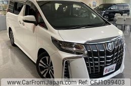 toyota alphard 2019 -TOYOTA--Alphard AGH30W--AGH30-0244333---TOYOTA--Alphard AGH30W--AGH30-0244333-