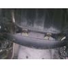 daihatsu tanto 2011 CFJ1567599 image 6
