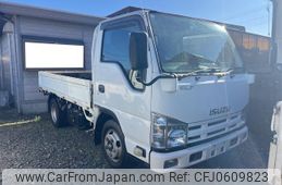 isuzu elf-truck 2013 GOO_NET_EXCHANGE_0403895A30241229W001