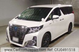 toyota alphard 2015 -TOYOTA 【大阪 349ｻ1116】--Alphard DAA-AYH30W--AYH30-0006724---TOYOTA 【大阪 349ｻ1116】--Alphard DAA-AYH30W--AYH30-0006724-