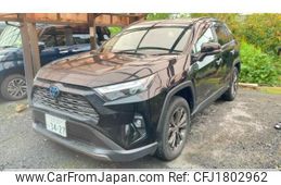 toyota rav4 2022 CFJ1802962