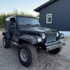 jeep wrangler 1999 55 image 2