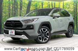toyota rav4 2019 CFJ1789059