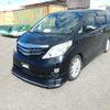 toyota alphard 2009 ENHANCEAUTO_1_ea289784 image 7