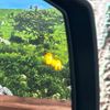 mitsubishi triton 2025 CFJ1799155 image 7