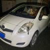 toyota vitz 2008 -TOYOTA--Vitz DBA-SCP90--SCP90-5084798---TOYOTA--Vitz DBA-SCP90--SCP90-5084798- image 2