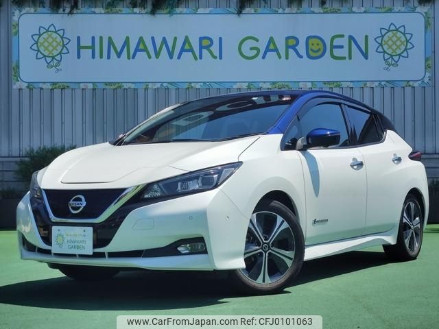 nissan leaf 2019 quick_quick_ZAA-ZE1_ZE1-059565 image 1