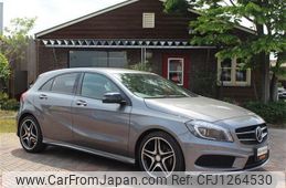mercedes-benz a-class 2014 quick_quick_DBA-176042_WDD1760422V010030