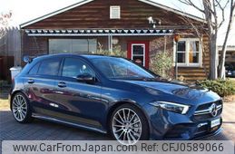 mercedes-benz a-class 2019 quick_quick_4BA-177051M_WDD1770512J131858