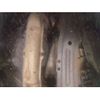 toyota gaia 2000 -TOYOTA--Gaia SXM10G-7159048---TOYOTA--Gaia SXM10G-7159048- image 12