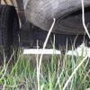 isuzu elf-truck 1992 CFJ1503351 image 8