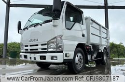 isuzu elf-truck 2009 GOO_NET_EXCHANGE_0401987A30240520W001