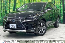 lexus nx 2018 CFJ1501081