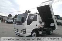 isuzu elf-truck 2006 CFJ1743282