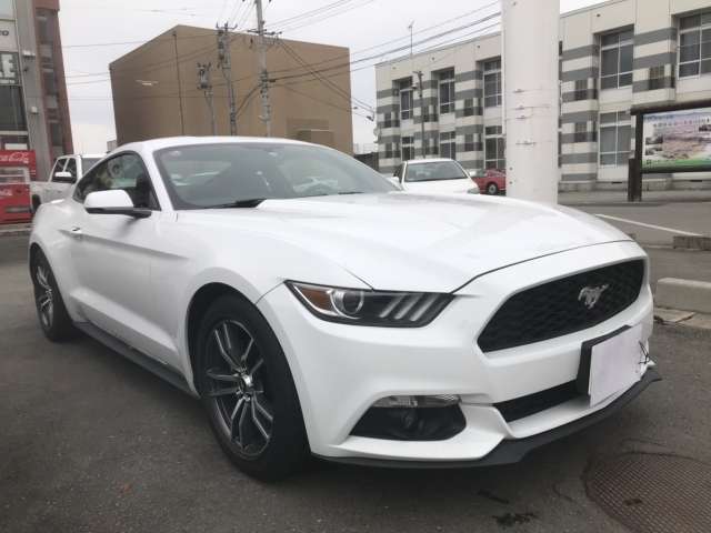 ford mustang 2017 -フォード--フォード　マスタング ﾌﾒｲ--ｸﾆ01095015---フォード--フォード　マスタング ﾌﾒｲ--ｸﾆ01095015- image 2