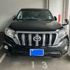 toyota land-cruiser-prado 2013 CFJ1736613 image 1