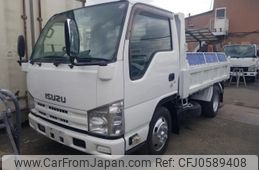 isuzu elf-truck 2011 quick_quick_SKG-NKR85AD_7020762