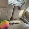 mitsubishi delica-d5 2007 -MITSUBISHI--Delica D5 DBA-CV5W--CV5W-0010311---MITSUBISHI--Delica D5 DBA-CV5W--CV5W-0010311- image 12