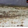 nissan nissan-others 1994 -NISSAN--Nissan Truck CM89ASD-03114---NISSAN--Nissan Truck CM89ASD-03114- image 15