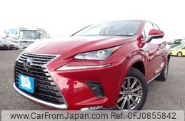 lexus nx 2018 N2024090180F-10