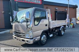 isuzu elf-truck 2021 GOO_NET_EXCHANGE_0401987A30250301W003