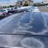 toyota porte 2008 -TOYOTA--Porte CBA-NNP10--NNP10-5036893---TOYOTA--Porte CBA-NNP10--NNP10-5036893- image 15
