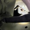 suzuki alto 2010 CFJ1518520 image 11
