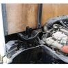 isuzu elf-truck 2016 GOO_NET_EXCHANGE_0230013A30250530W002 image 28