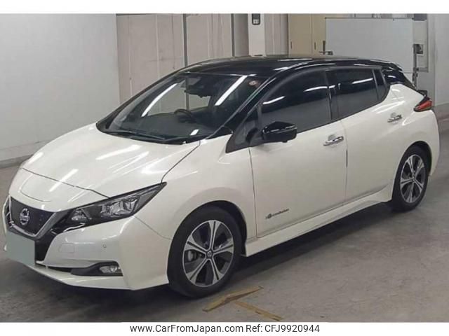 nissan leaf 2019 quick_quick_ZAA-ZE1_ZE1-066871 image 1