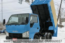 isuzu elf-truck 2011 GOO_NET_EXCHANGE_0303157A30250118W001