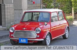 Rover Mini 1994