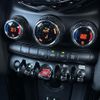 mini mini-others 2018 CFJ1703886 image 13