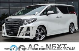 toyota alphard 2017 -TOYOTA--Alphard DBA-AGH30W--AGH30-0142360---TOYOTA--Alphard DBA-AGH30W--AGH30-0142360-