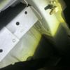 toyota alphard 2012 -TOYOTA--Alphard DBA-ANH20W--ANH20-8252397---TOYOTA--Alphard DBA-ANH20W--ANH20-8252397- image 26