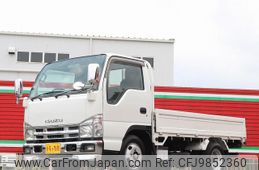 isuzu elf-truck 2007 GOO_NET_EXCHANGE_0505500A30240602W001