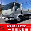 isuzu elf-truck 2018 GOO_NET_EXCHANGE_0730189A30240611W001 image 1