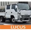 isuzu elf-truck 2008 GOO_NET_EXCHANGE_0700226A30240523W001 image 1