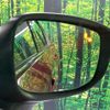 mazda cx-5 2018 -MAZDA--CX-5 3DA-KF2P--KF2P-201815---MAZDA--CX-5 3DA-KF2P--KF2P-201815- image 7