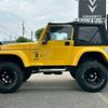 chrysler jeep-wrangler 2000 CFJ1531353 image 12
