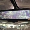 nissan serena 2021 quick_quick_HFC27_HFC27-099430 image 9