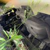 daihatsu tanto 2011 -DAIHATSU--Tanto DBA-L375S--L375S-0386970---DAIHATSU--Tanto DBA-L375S--L375S-0386970- image 20