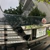 toyota vellfire 2008 CFJ1369602 image 5