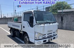 isuzu elf-truck 2007 CFJ1580580